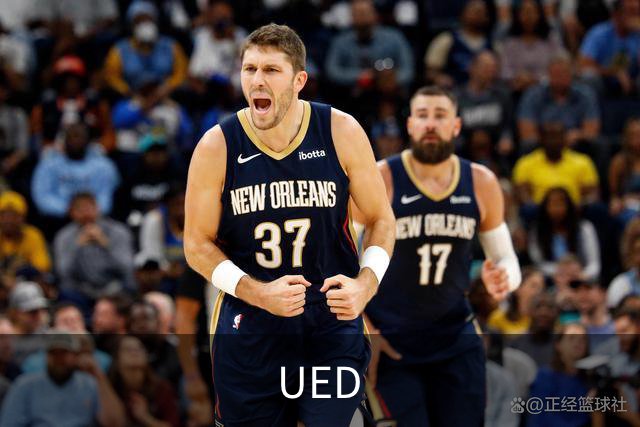 UED公司简介